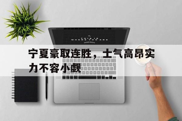 宁夏豪取连胜，士气高昂实力不容小觑的简单介绍