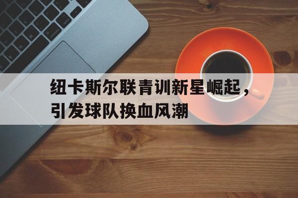 纽卡斯尔联青训新星崛起，引发球队换血风潮的简单介绍